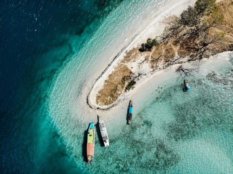 Comoros Wildlife Expedition: Grande Comore & Mohéli – 9 Days