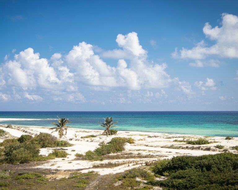 A beach in Cozumel, Mexico