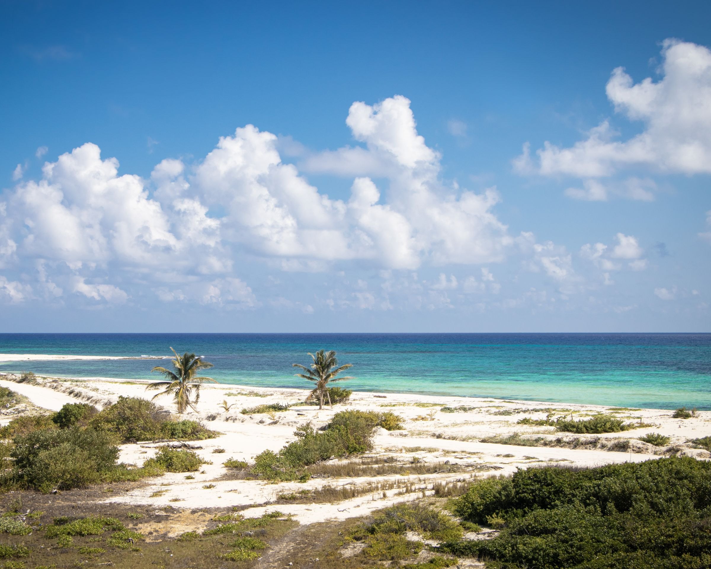 A beach in Cozumel, Mexico