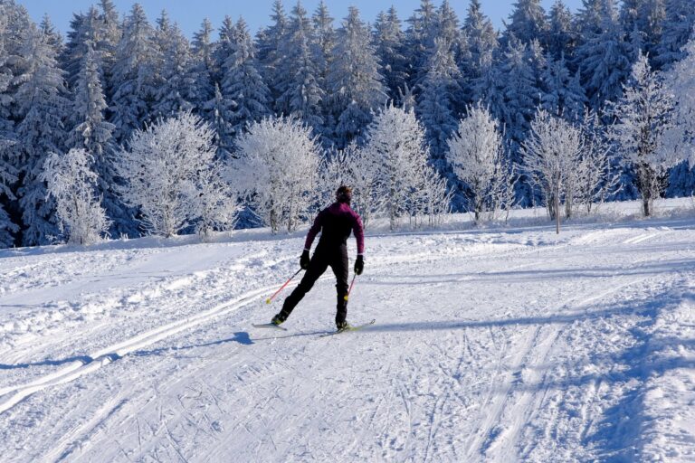 A cross-country skier in a snowy forest