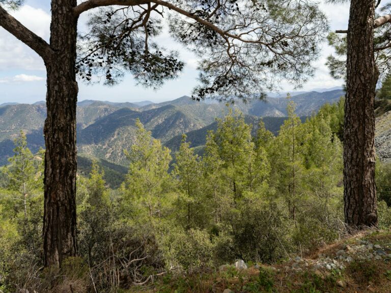 Troodos Mountains