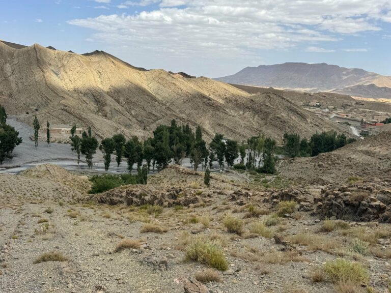 The Dades Valley with poplars and mountains