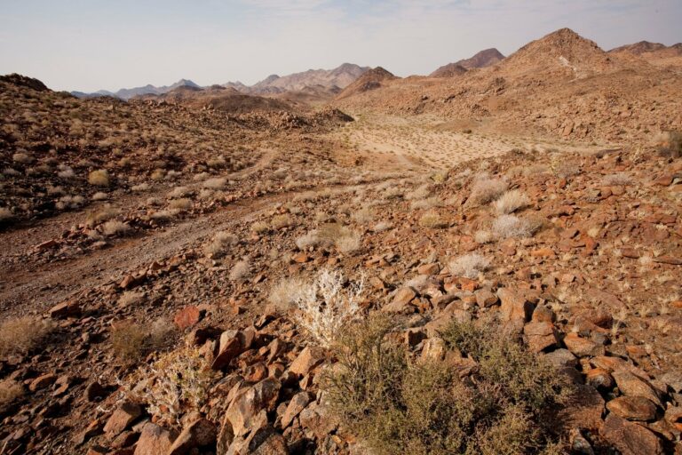 The rocky desert of Damaraland