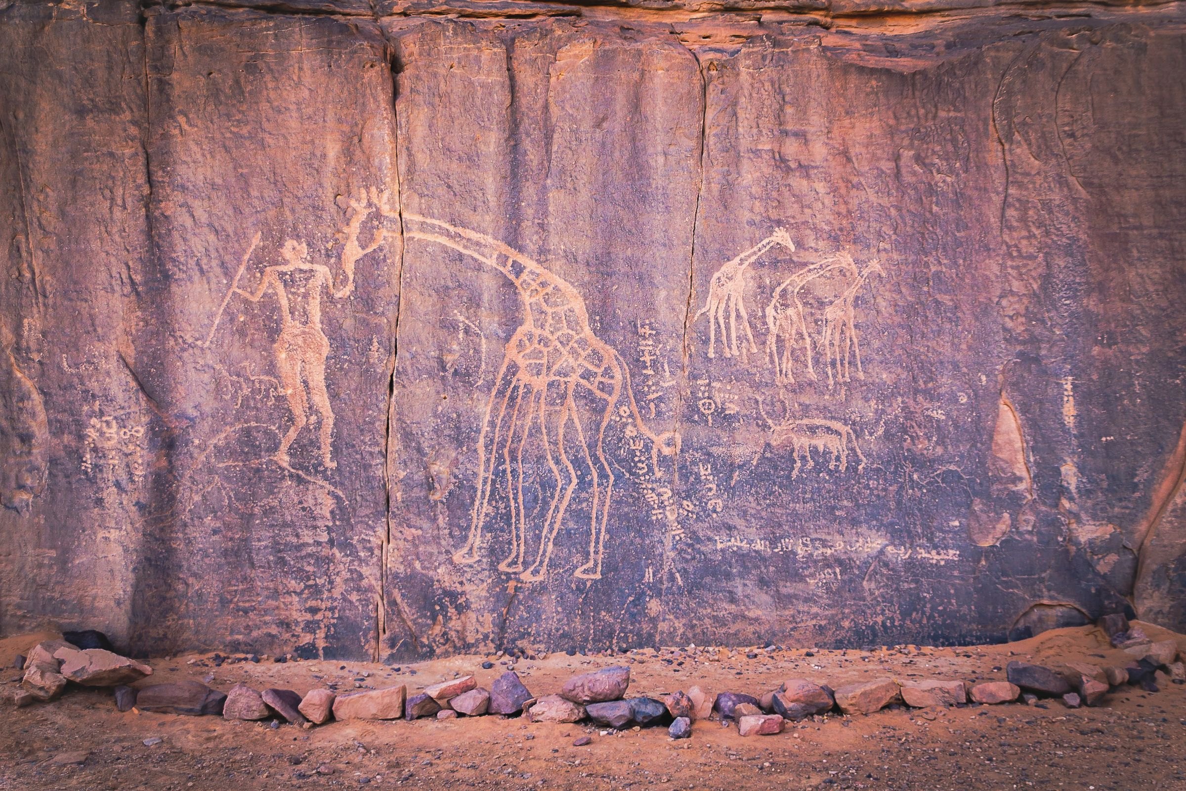 Ancient giraffe engravings near Djanet