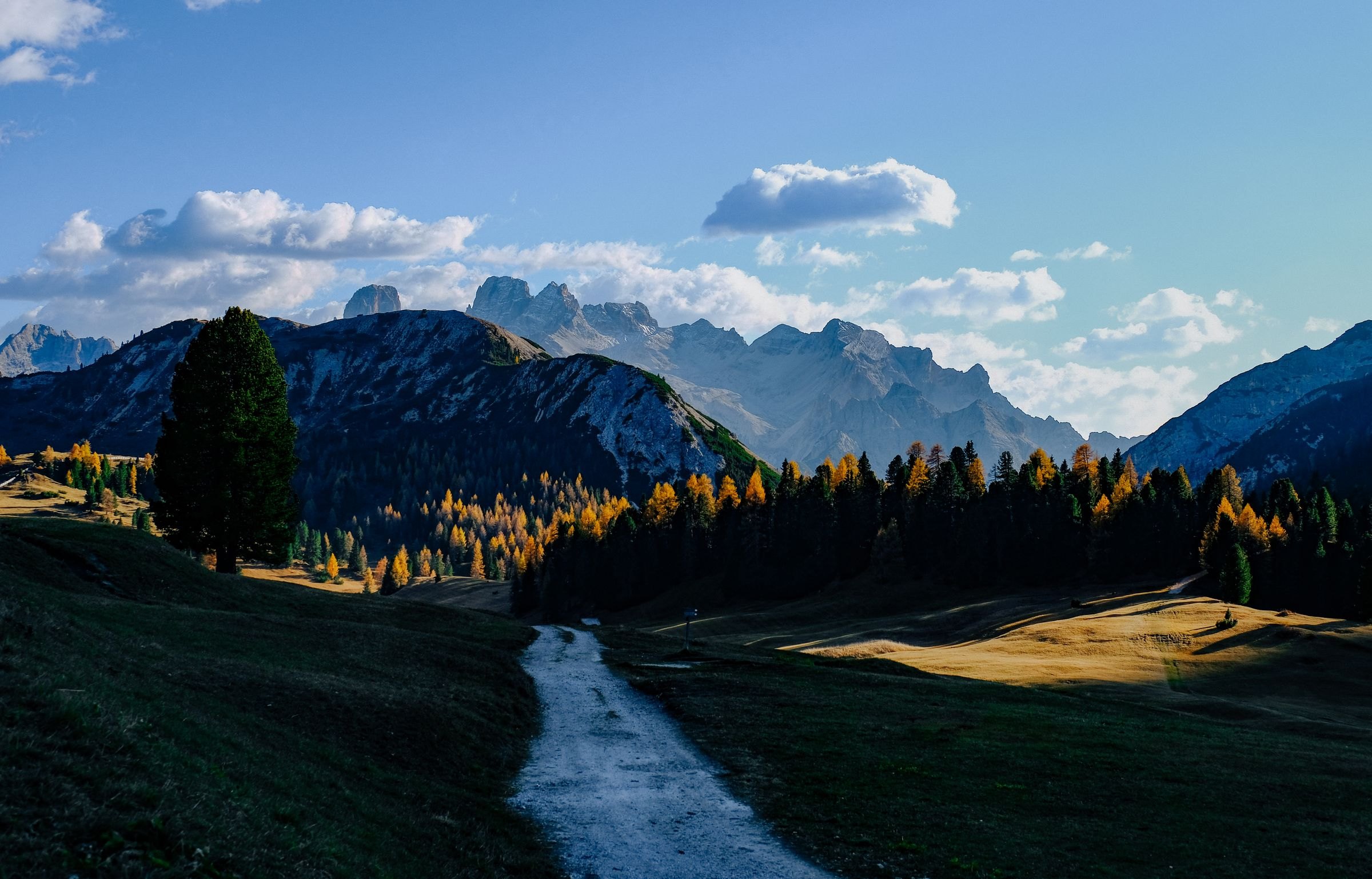Larches and peaks in the Dolomites