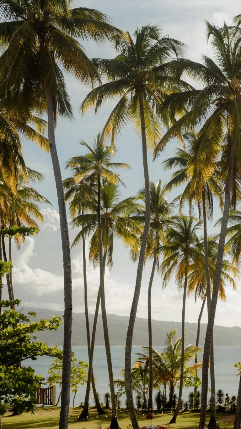 North coast & Samaná