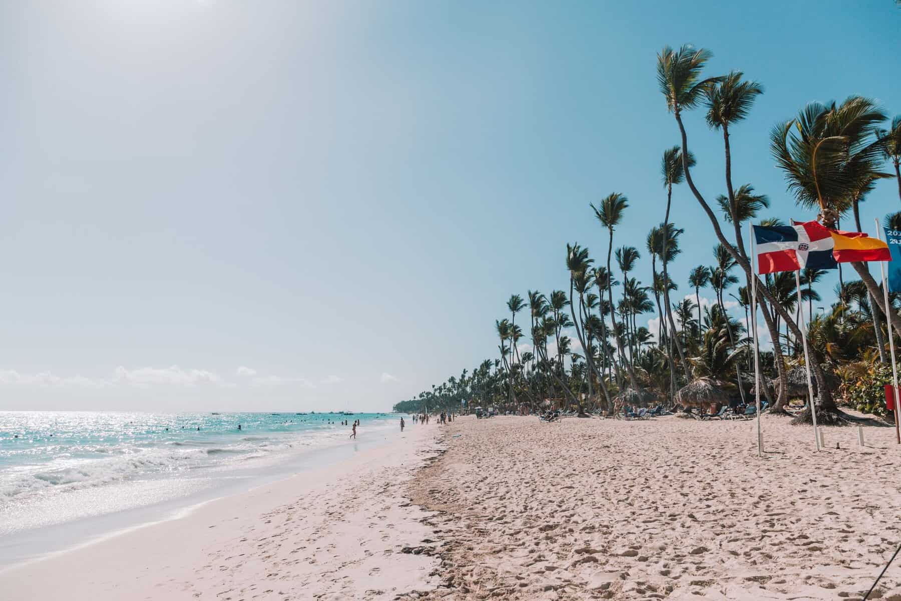 Palm trees on a white-sand beach in Punta Cana, Dominican Republic