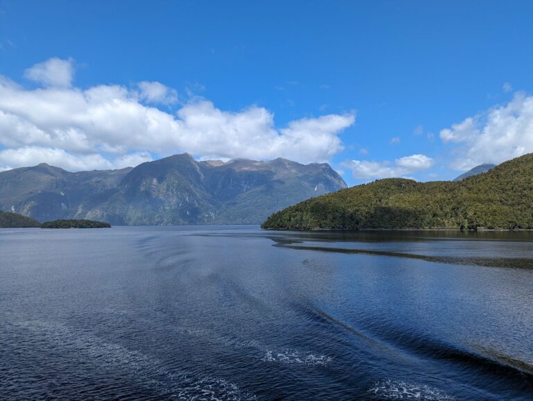 The calm waters of a Fiordland sound