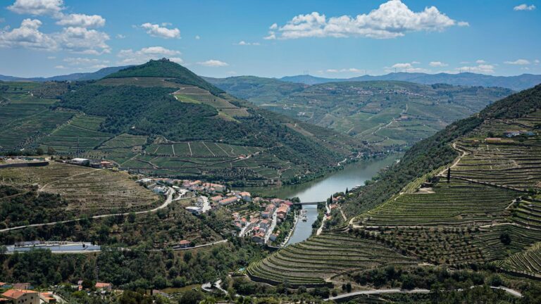 Terraced vineyards in the Douro Valley