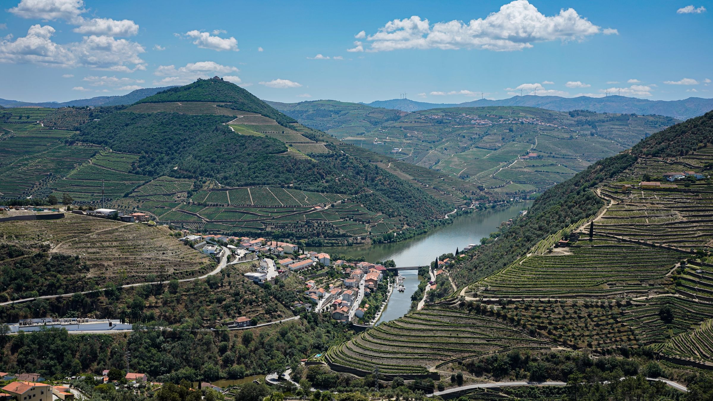 Terraced vineyards in the Douro Valley