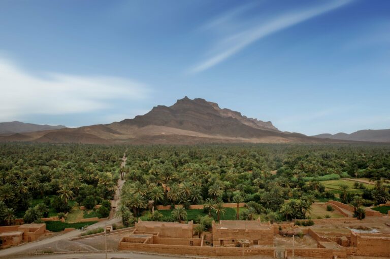Palm groves in the Draa Valley