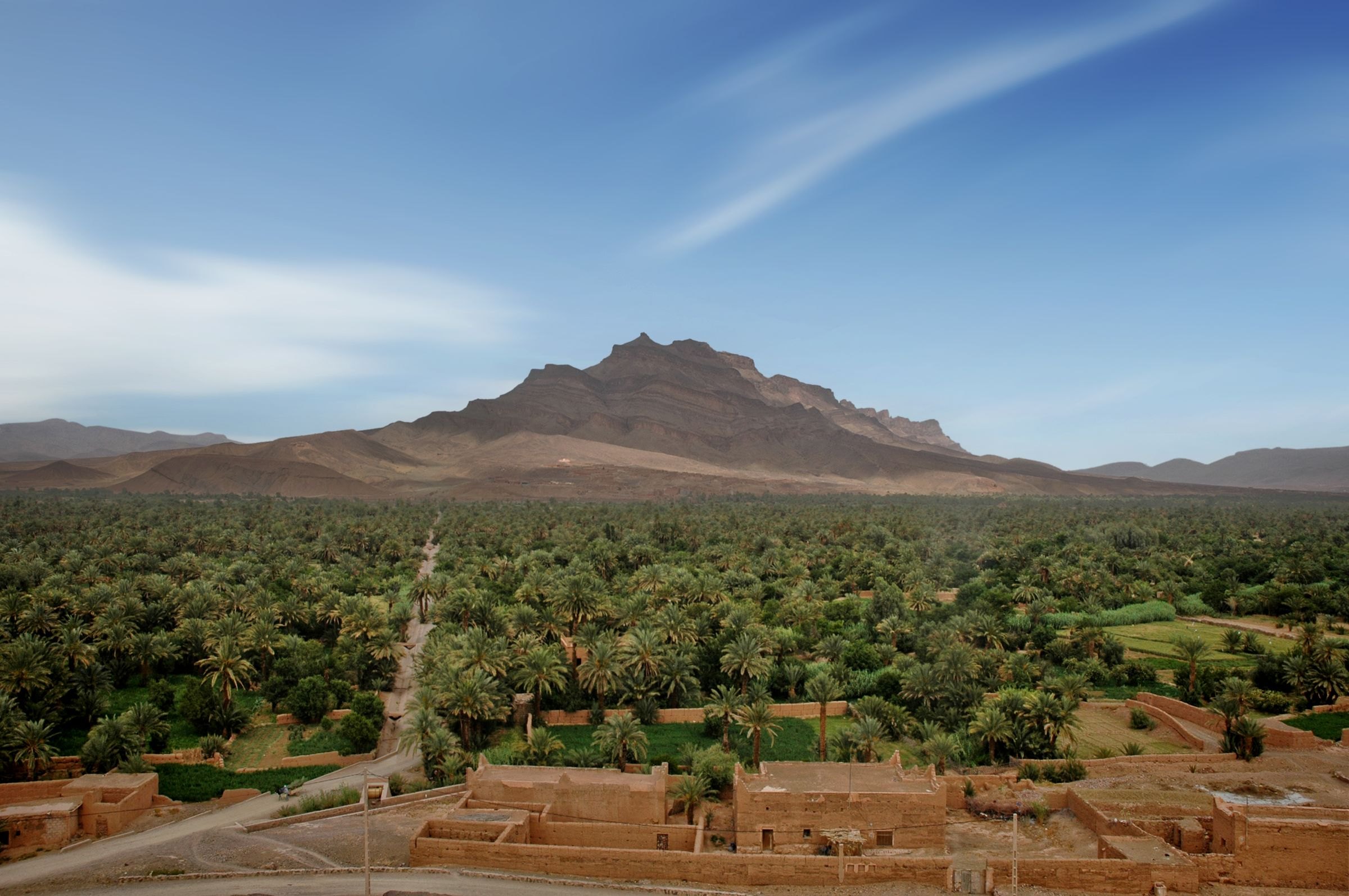 Palm groves in the Draa Valley