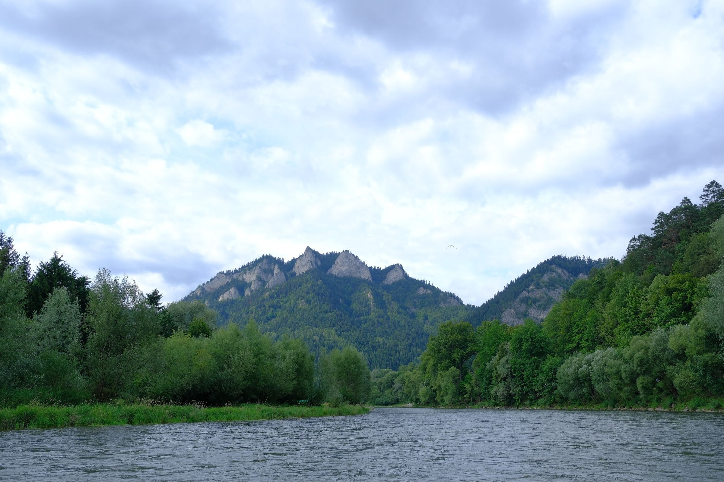 The Dunajec river below the Pieniny mountains