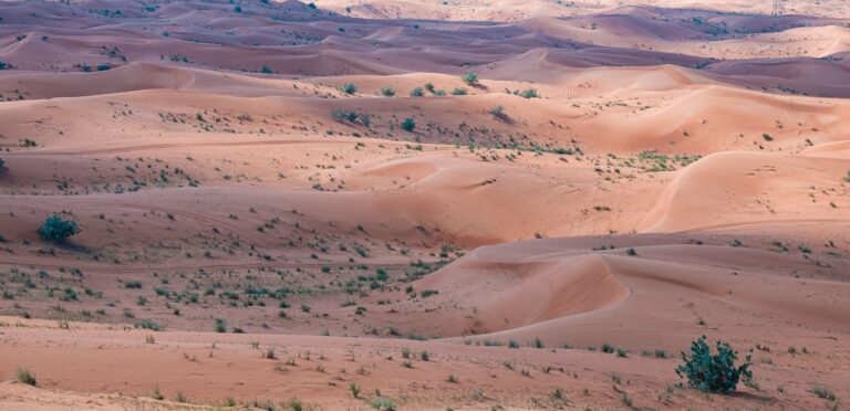 Desert dunes in Oman