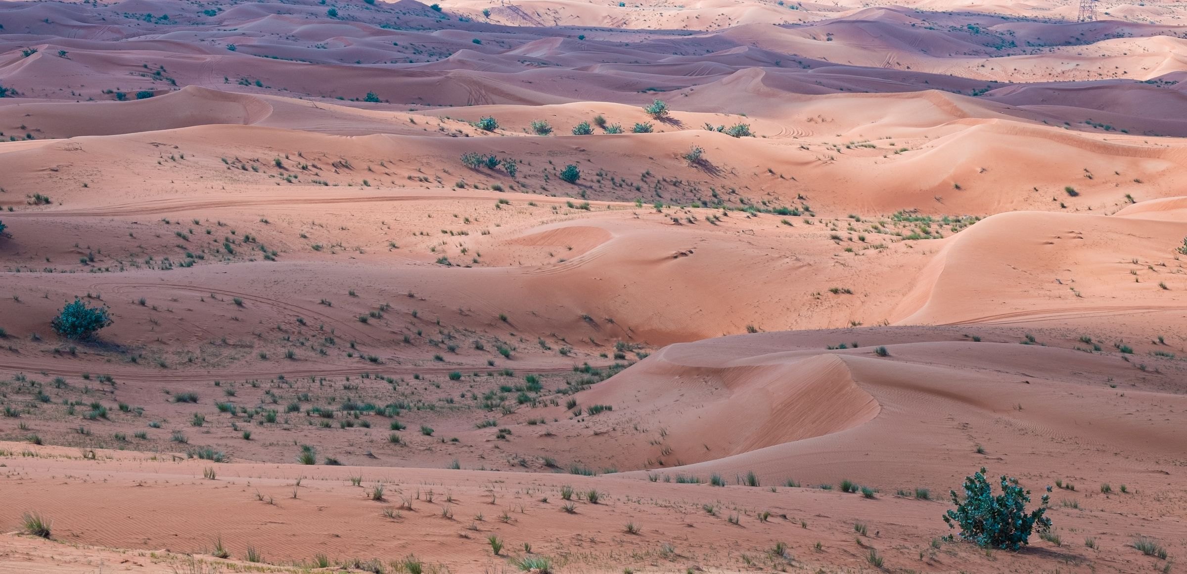 Desert dunes in Oman