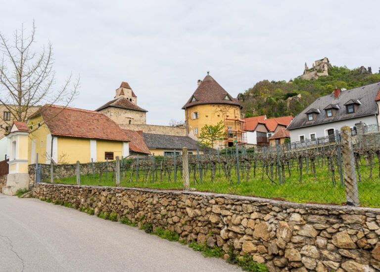 A lane in Dürnstein in spring