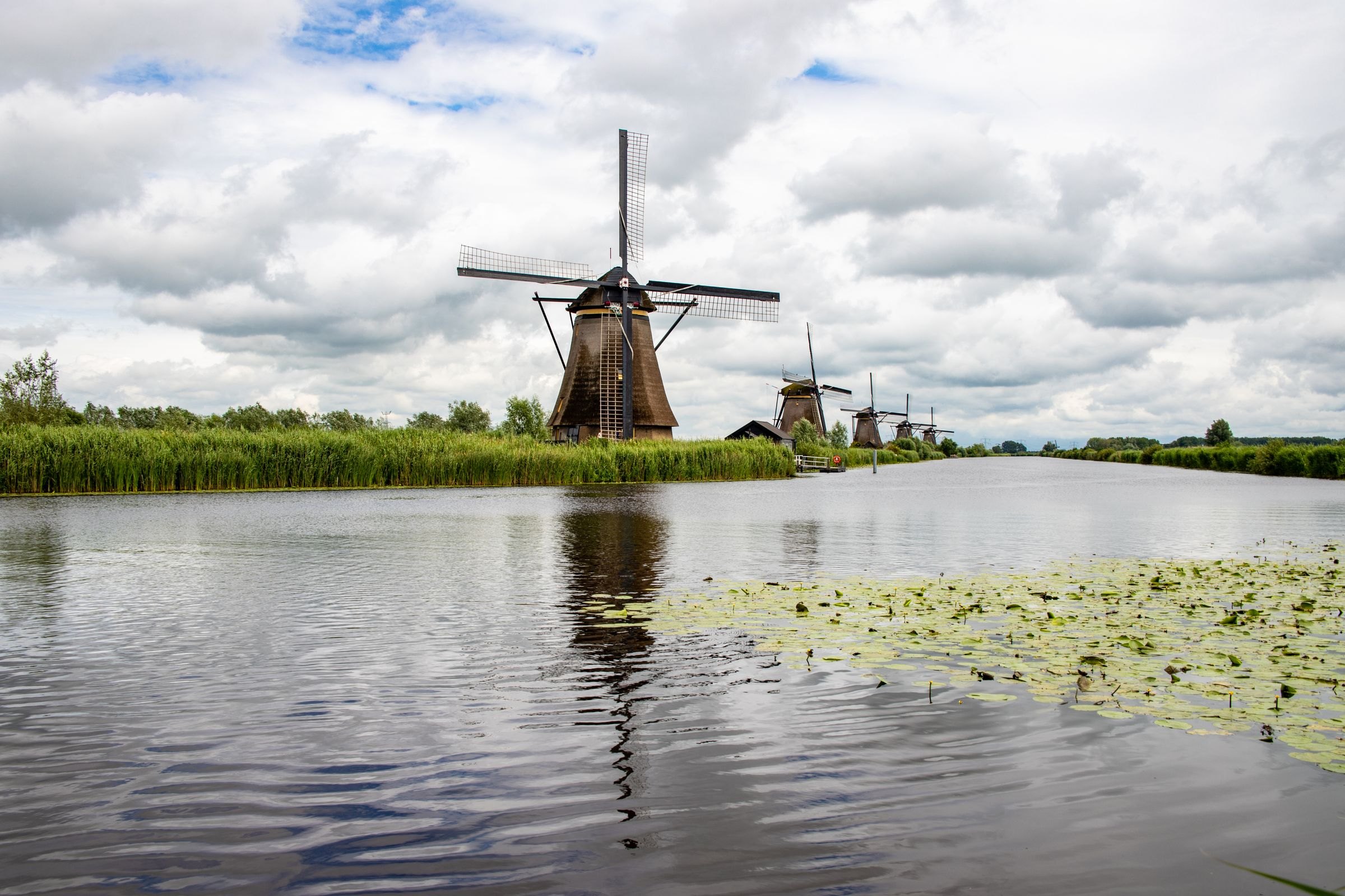 Historic Dutch windmills along a river