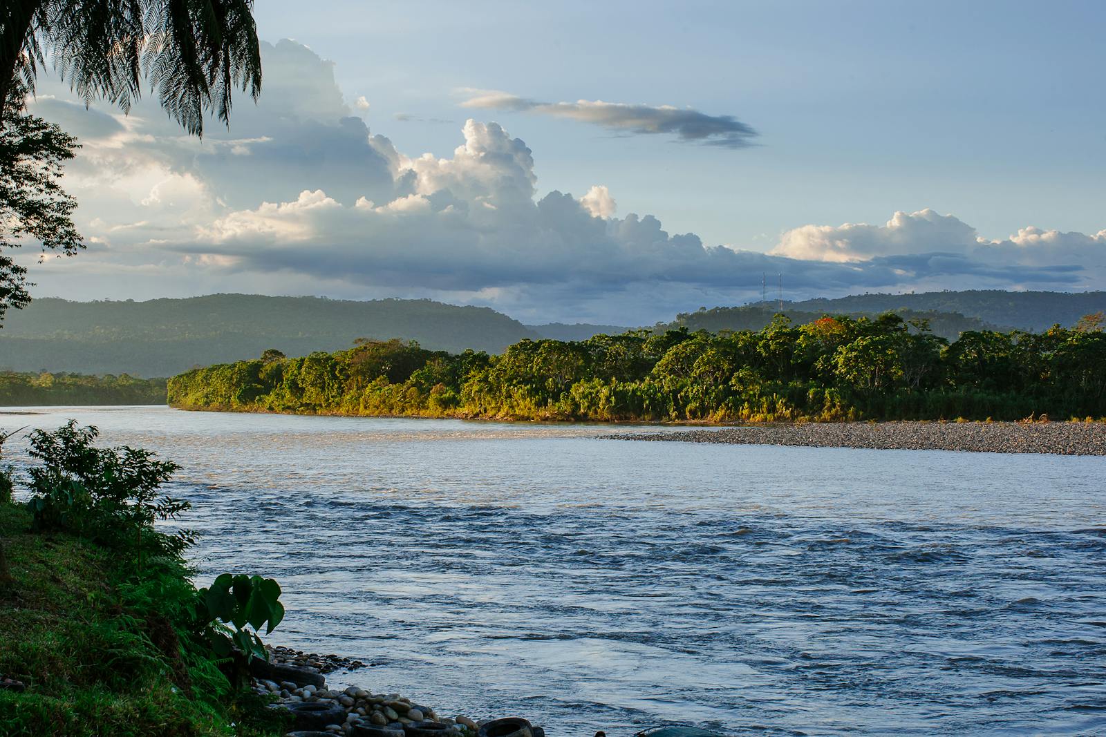 Amazon Basin, Ecuador