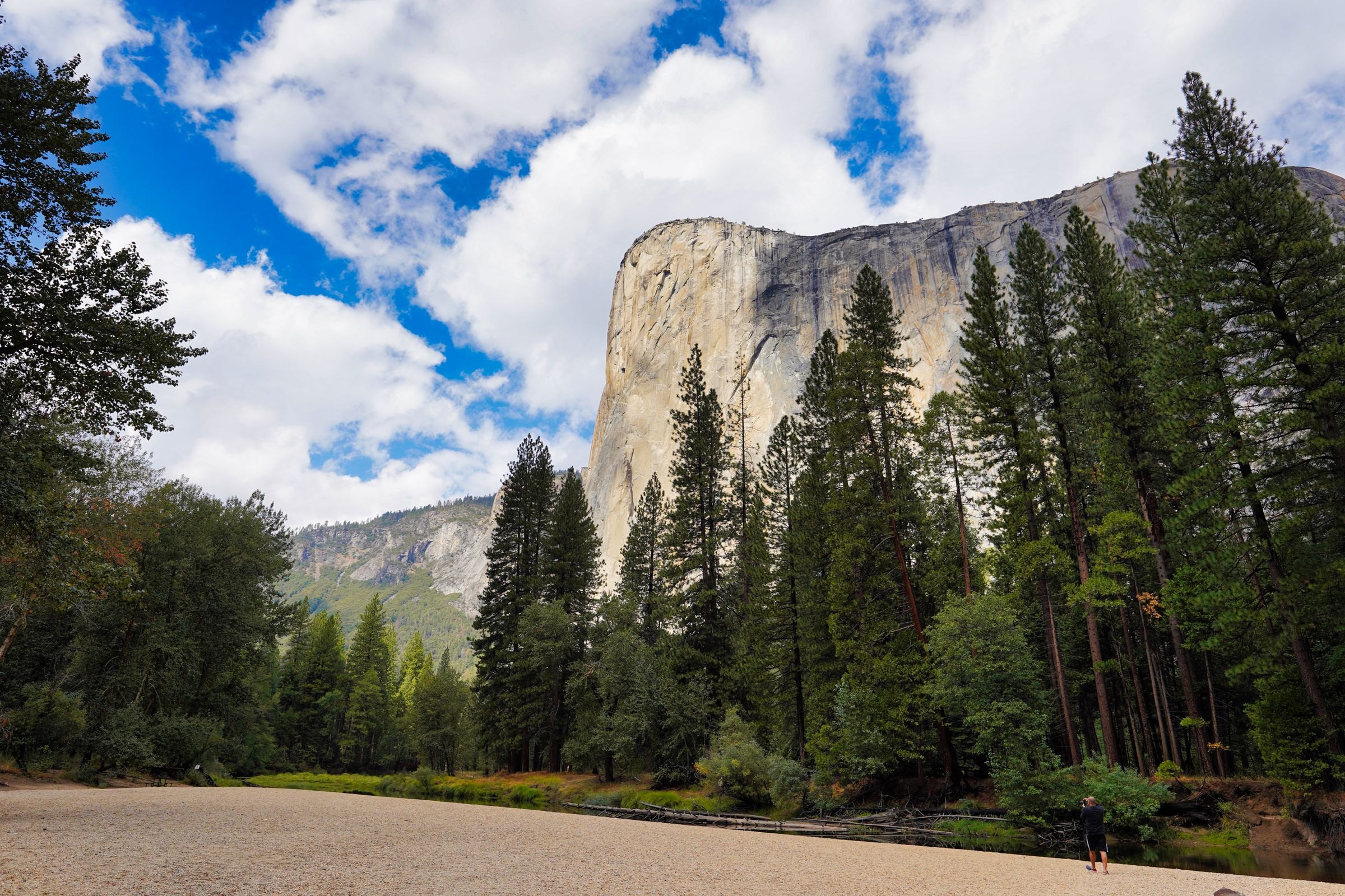 El Capitan above the forest
