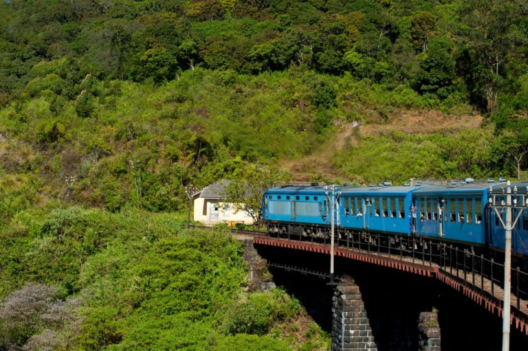 A train in the hills near Ella