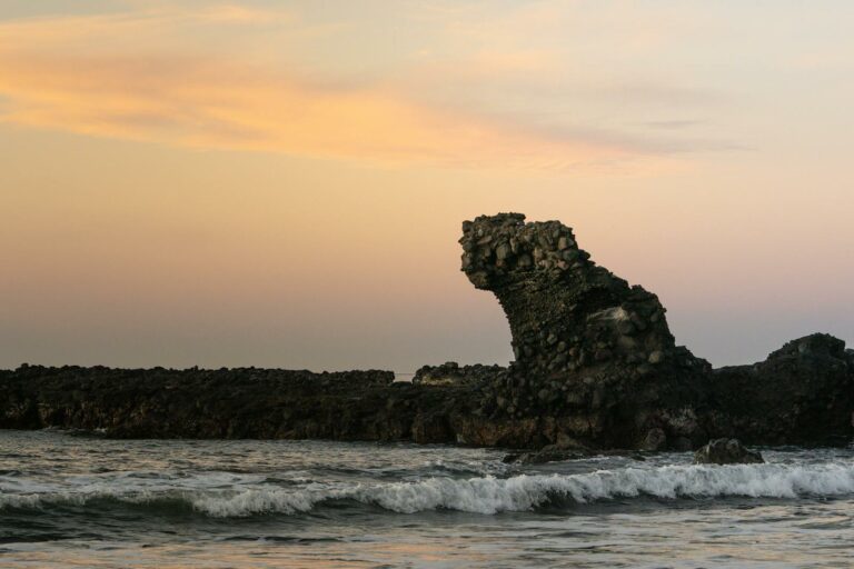 Pacific Surf Coast
