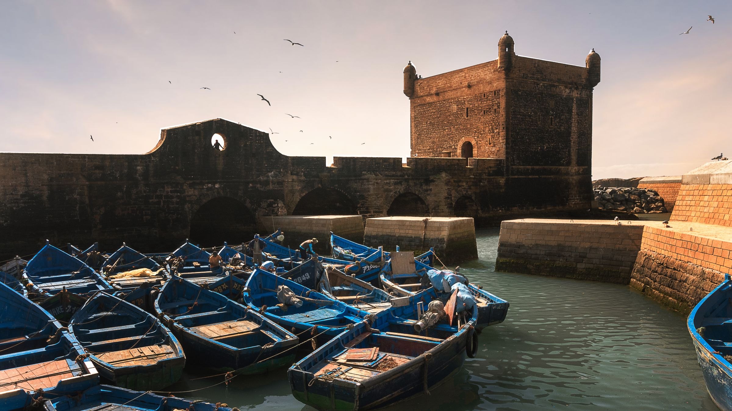 Blue fishing boats in Essaouira harbour