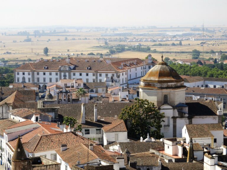 The historic town of Evora from above