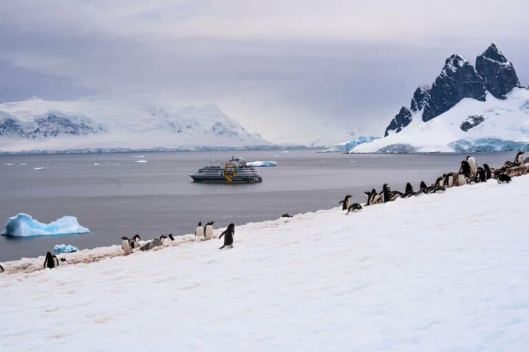 Penguins on the snowy Antarctic coast with an expedition ship offshore