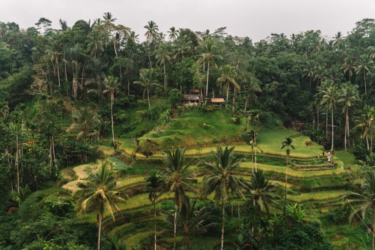 Sanur, Bali