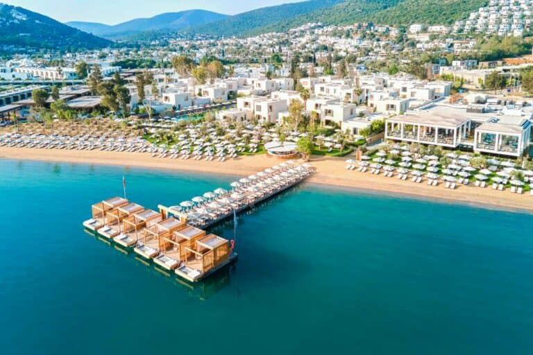 Voyage Torba, Torba