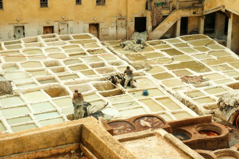 The leather tanneries of Fes