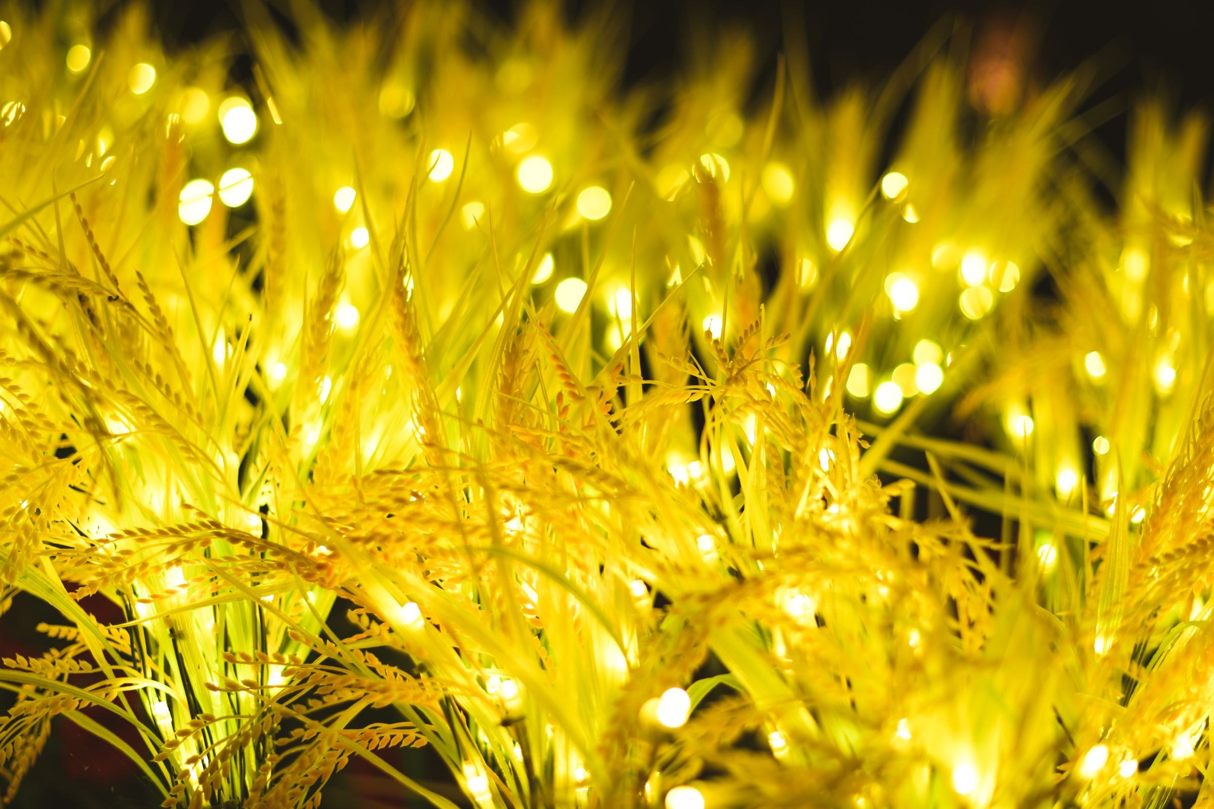 Glowing lights in the desert