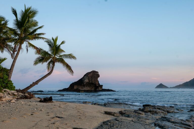 A tropical beach at sunrise in Fiji