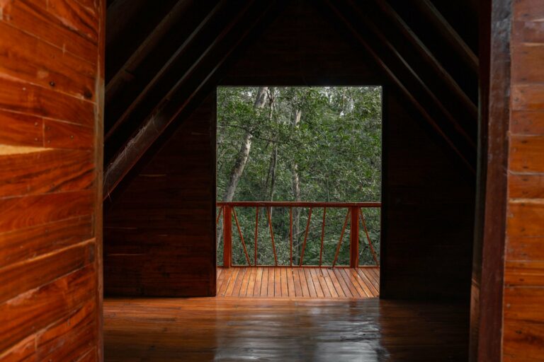 A wooden cabin looking onto the forest