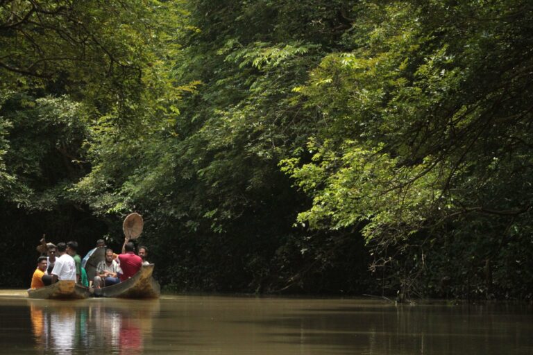 A boat on a forest river