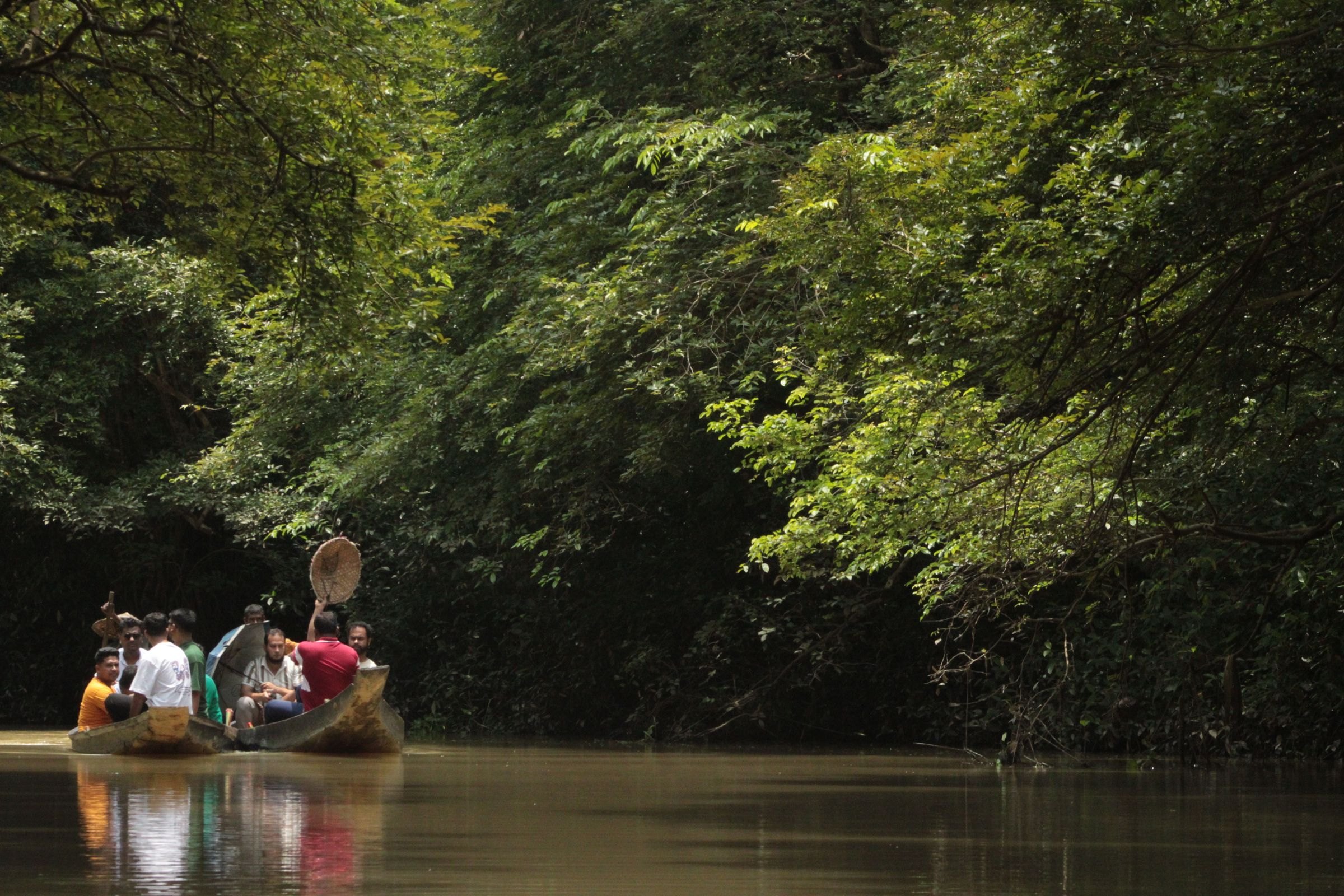 A boat on a forest river