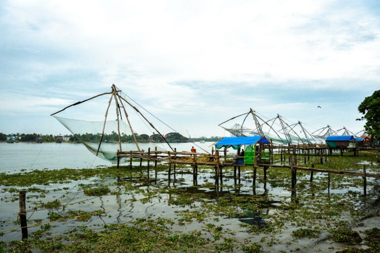 Chinese fishing nets at Fort Kochi