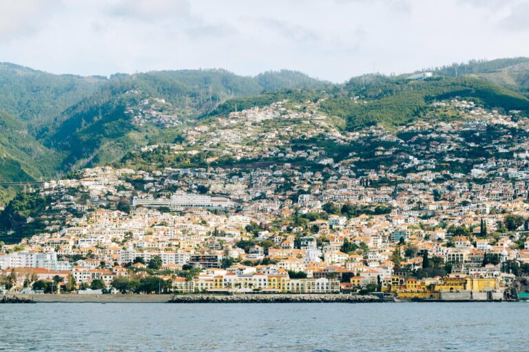 Funchal on its hillside above the harbour