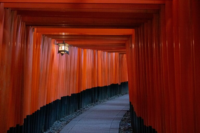 The torii gates of Fushimi Inari
