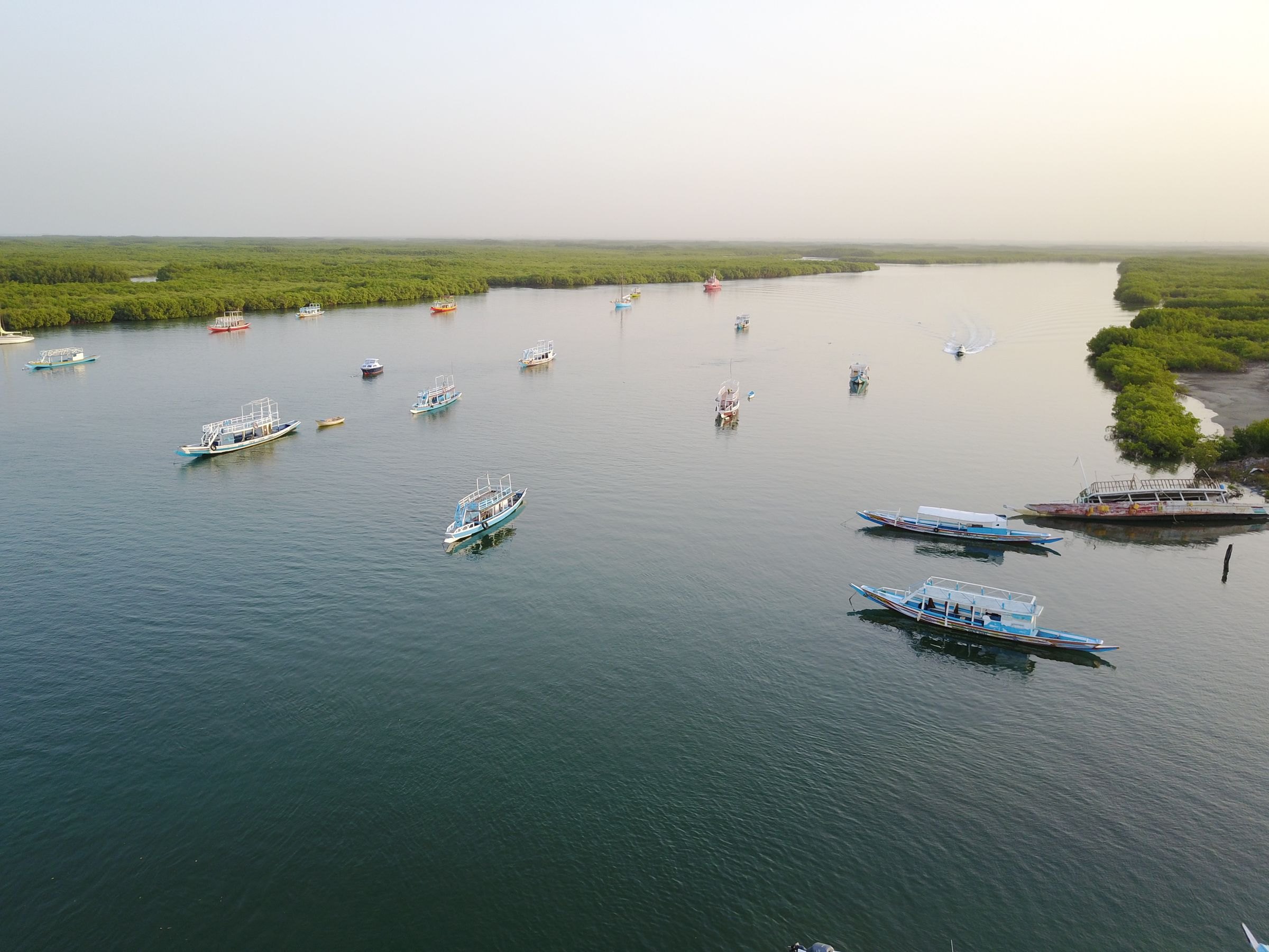 Boats on a river in The Gambia