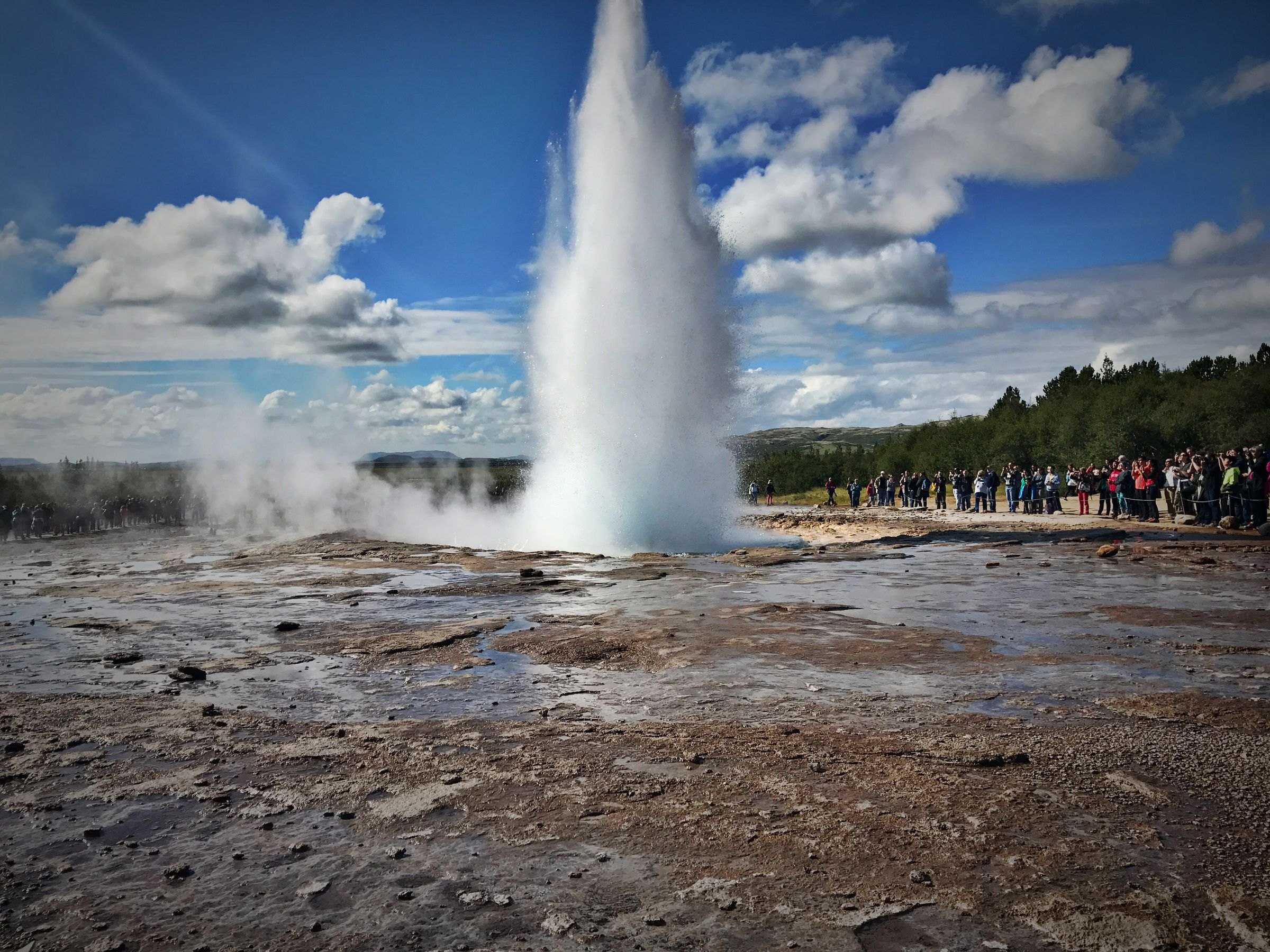 A geyser erupting in Iceland