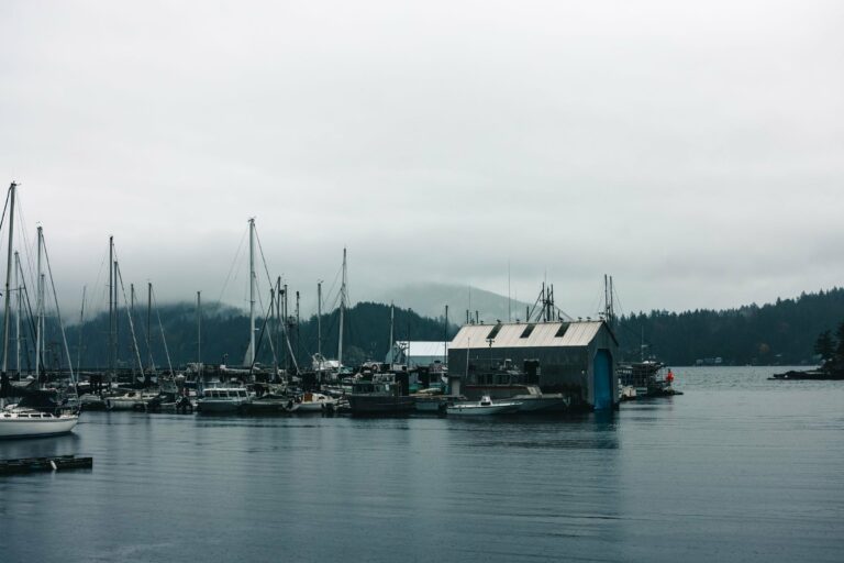 Boats in the marina at Gibsons