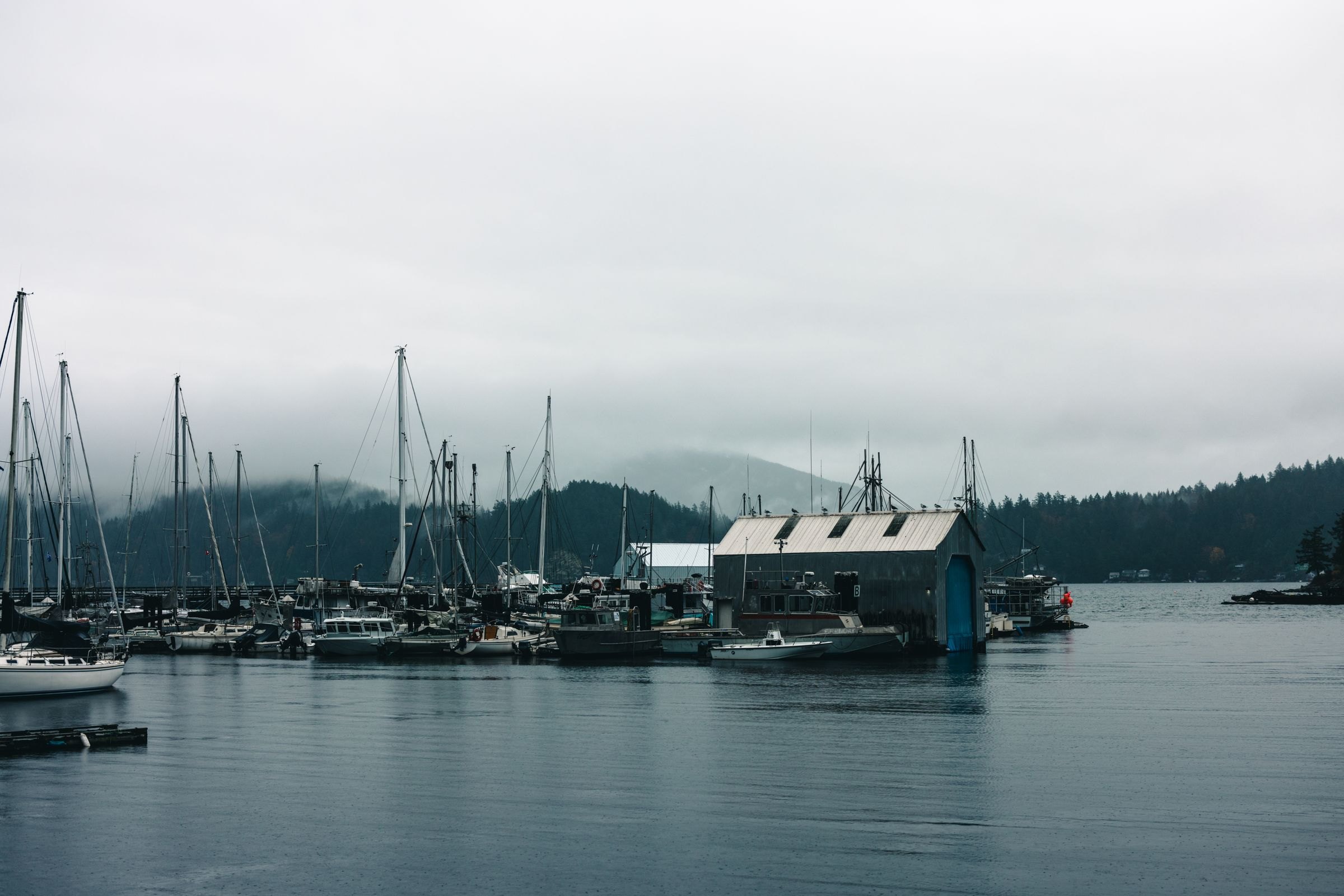 Boats in the marina at Gibsons