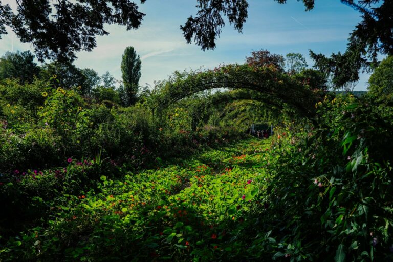 A flower-lined path in Monet's garden at Giverny