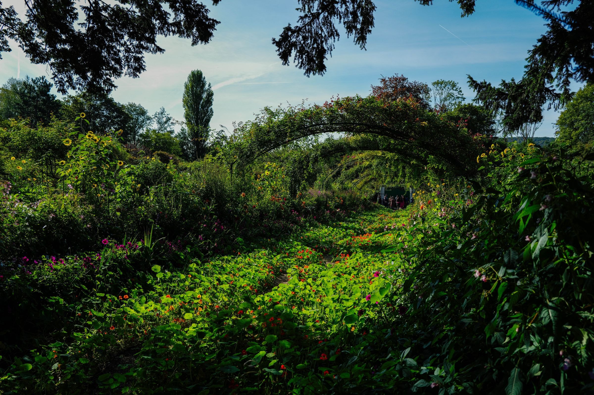A flower-lined path in Monet's garden at Giverny