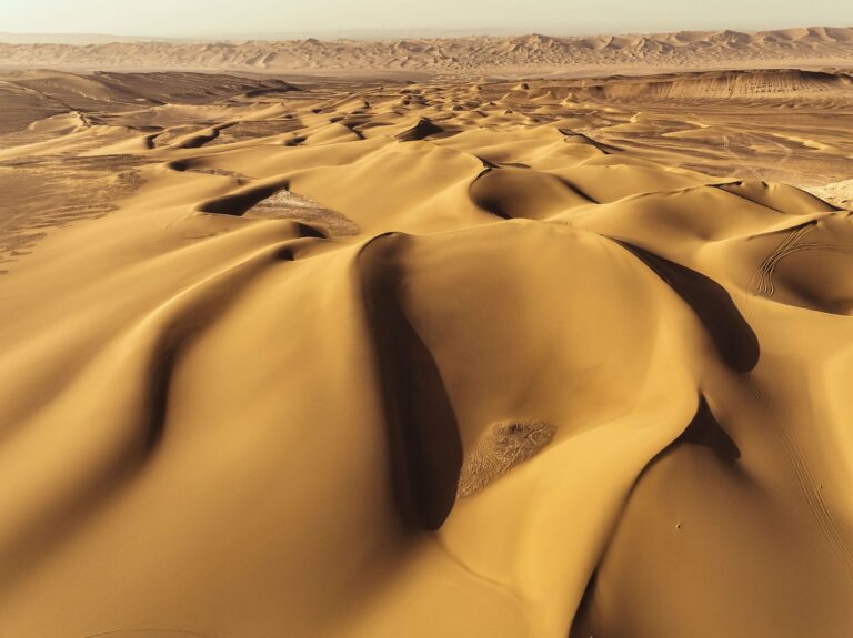 Golden sand dunes in the Gobi from the air