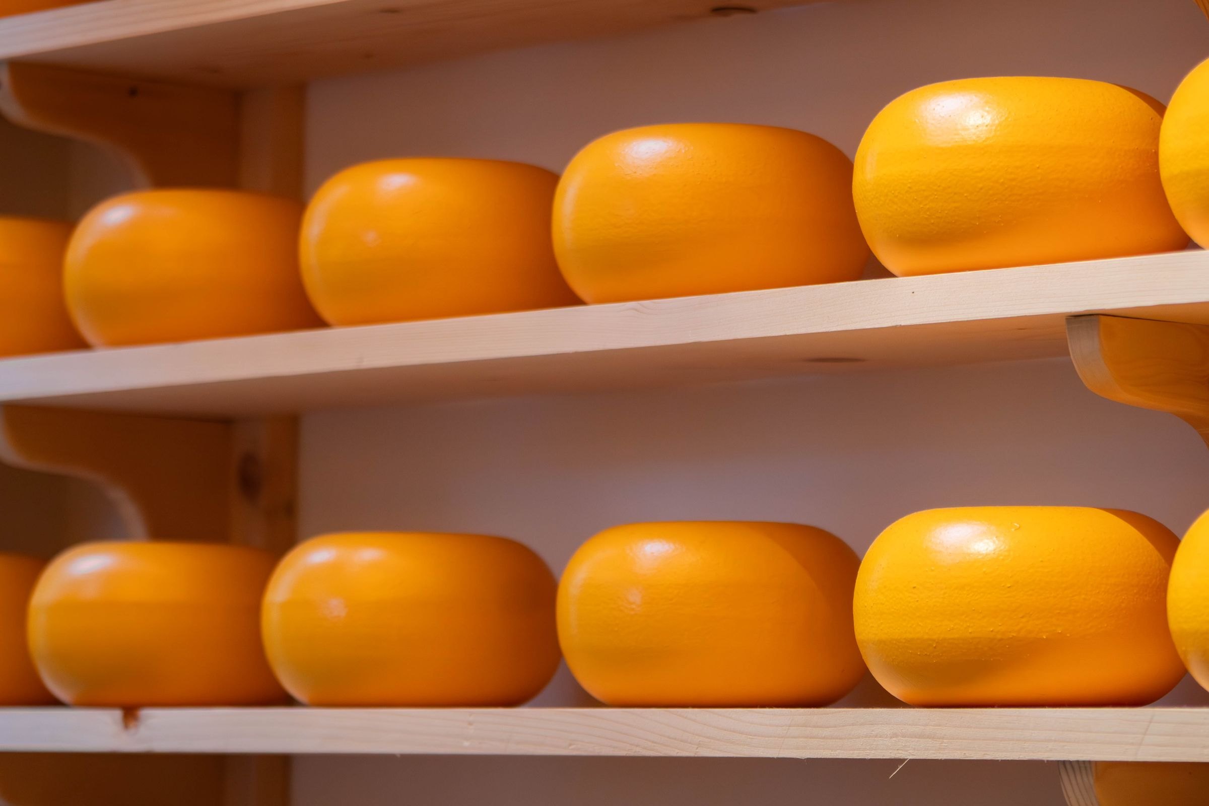 Gouda cheeses on wooden shelves