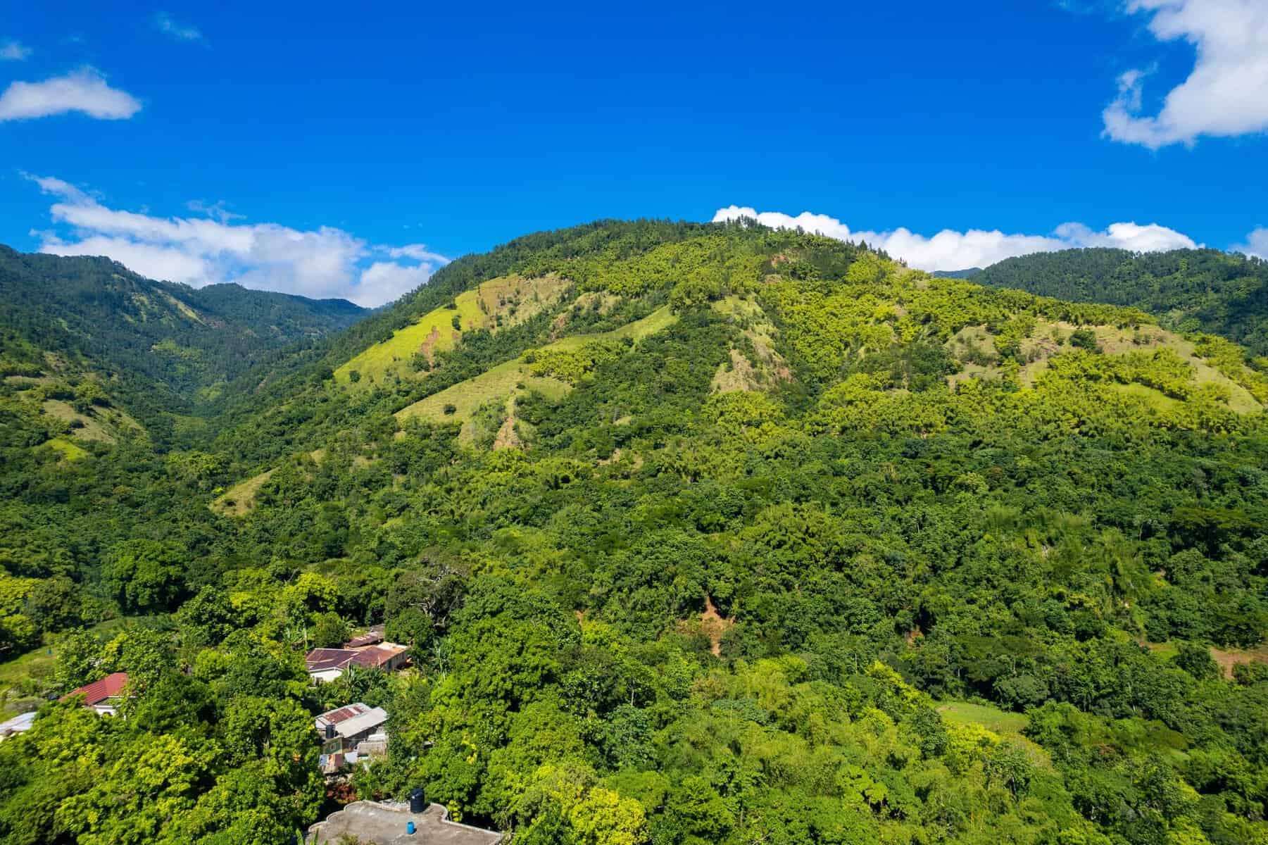 Green hills near Montego Bay, Jamaica