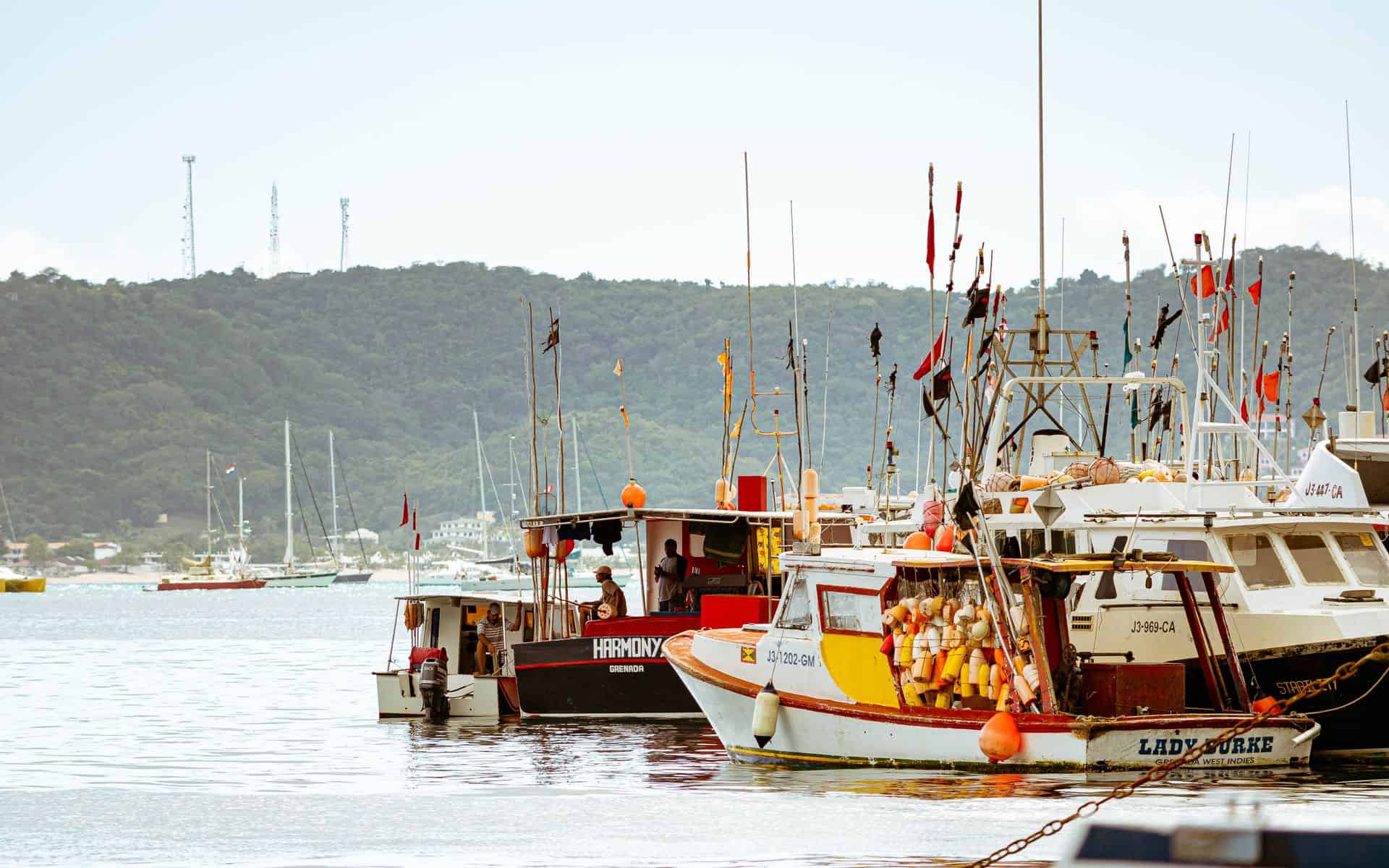 Colourful fishing boats in the harbour at St George’s, Grenada