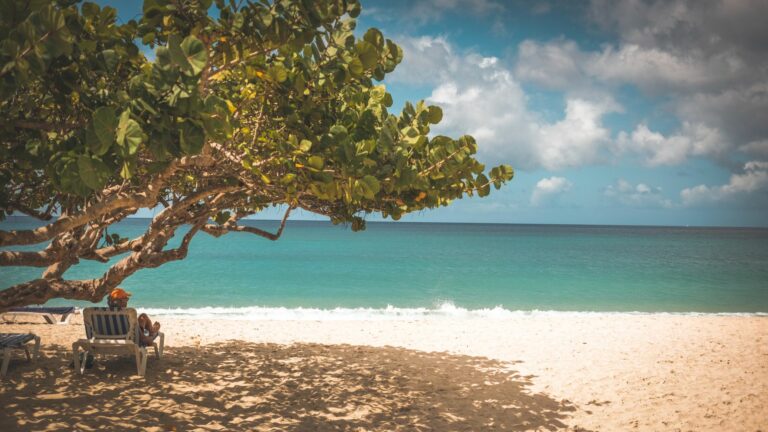 Grand Anse & Morne Rouge